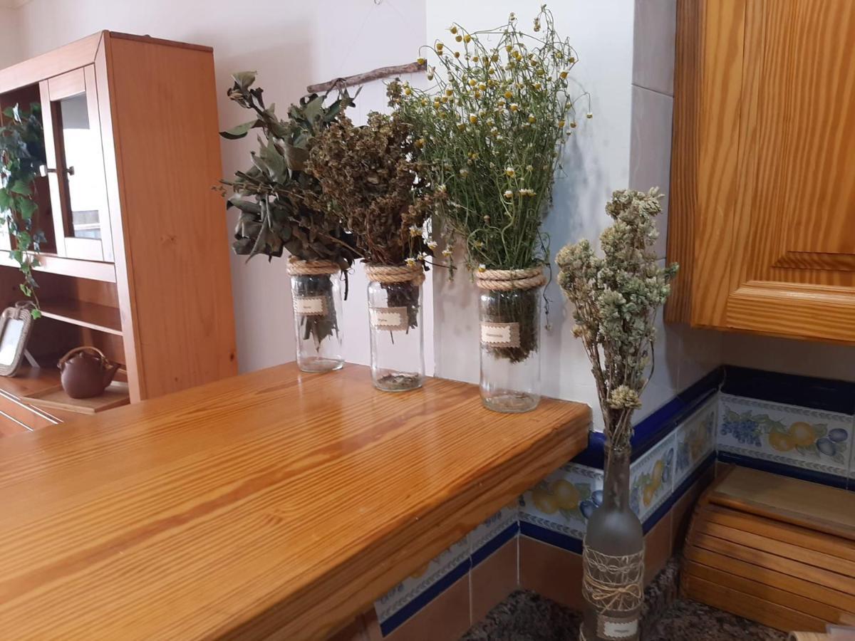 Coast apartment,5 people,wifi,150 metres sea Puerto de la Cruz  Extérieur photo